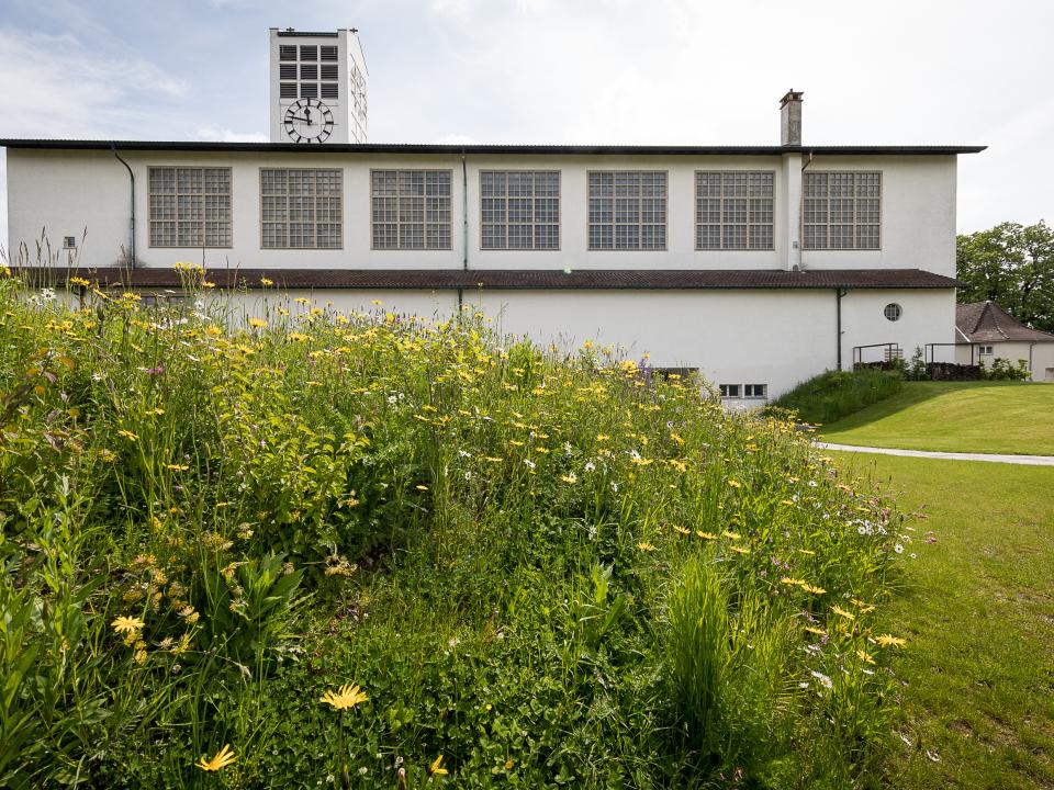 Ansicht, Pfarreigarten