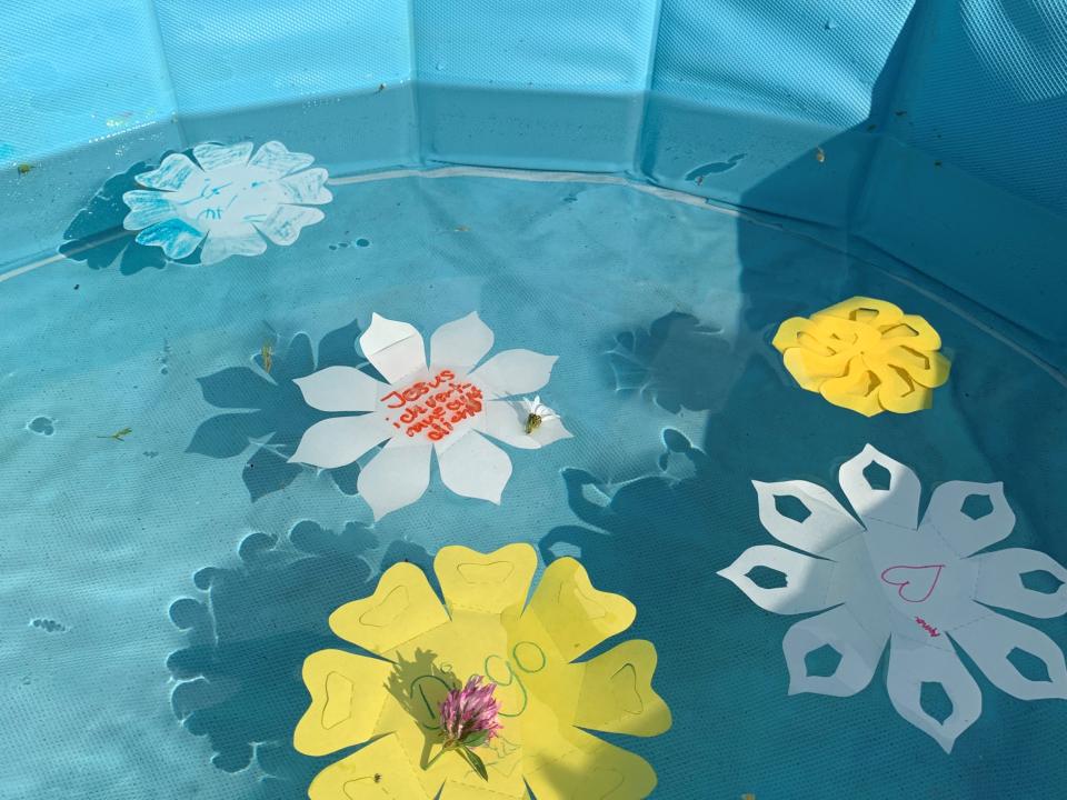 Wunderschöne Blüten im Wasser