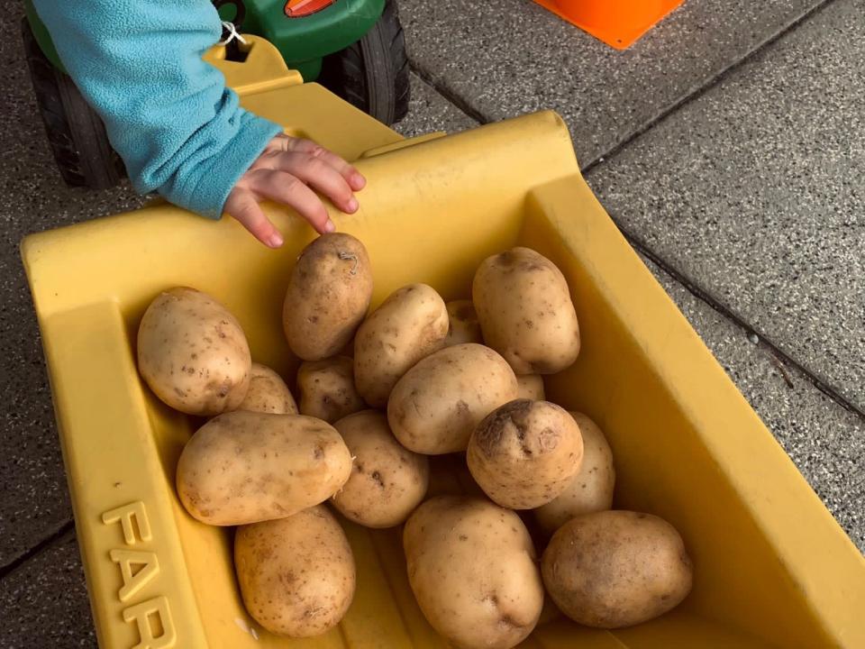Vom Ernten für die ganz kleinen Besucherinnen & Besucher...