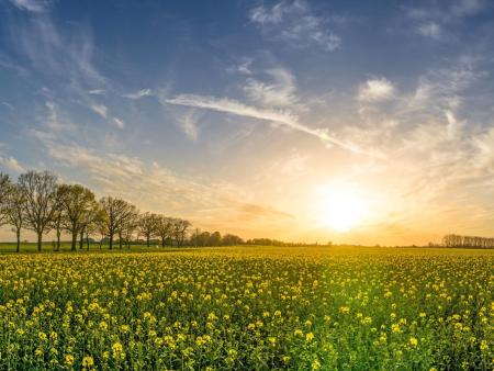 Ostern ist Versöhnung und Verwandlung