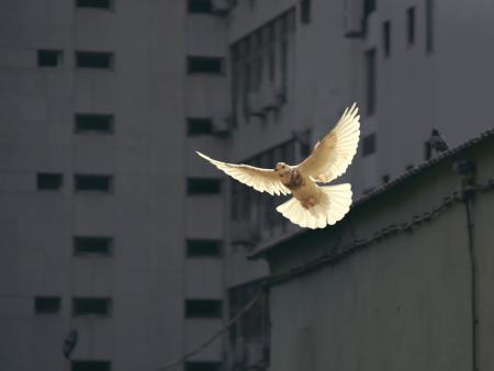 Firmvorbereitung 2025 | 2026: Firmblock, Anbetung, Gruppe I und II