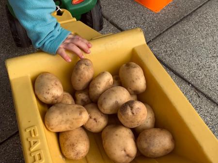 Vom Ernten für die ganz kleinen Besucherinnen & Besucher...