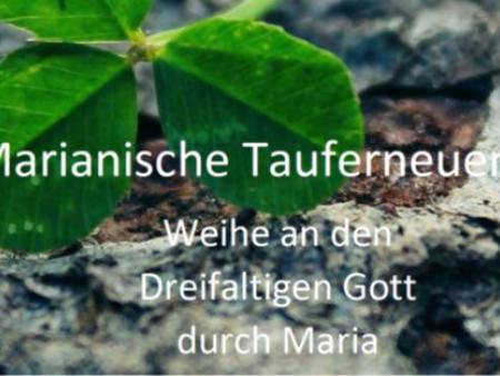 Exerzitien 2021: Marianische Tauferneuerung