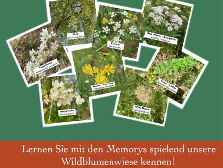 Memory: Naturoase St. Stefan Amriswil