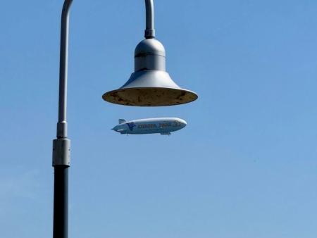 Wo das Grosse im Kleinen sichtbar wird – Mitarbeiterausflug auf die Reichenau