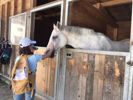 SOLA in Schönenberg ZH