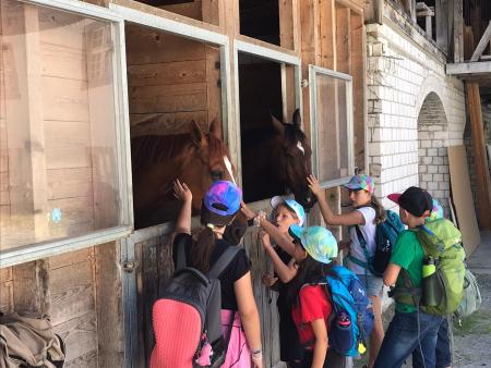 SOLA in Schönenberg ZH