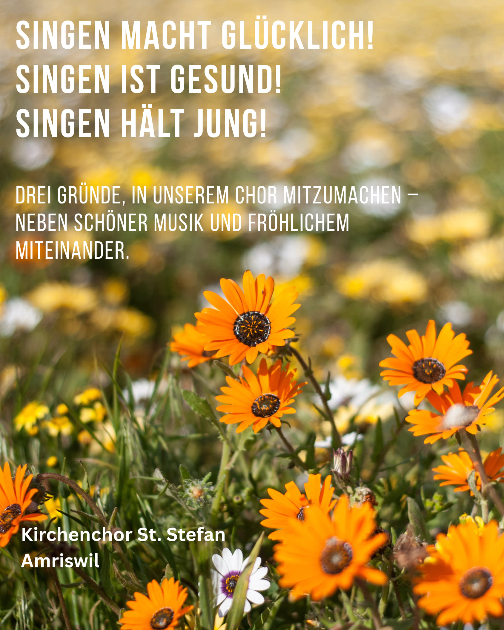 Chorwerbung